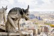gargoyle