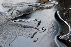 oil