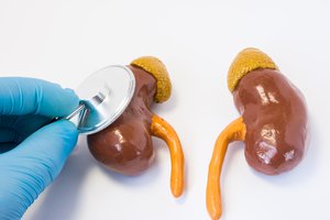 la glándula suprarrenal