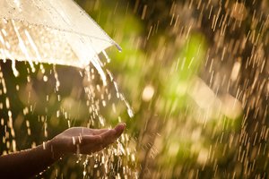 la lluvia