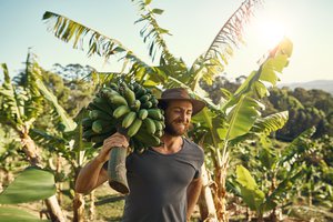 el fruto