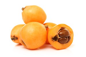 loquat