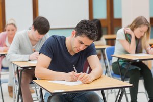 el estudiante, la estudiante