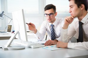 el consultor, la consultora