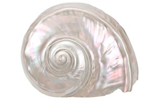 mother-of-pearl