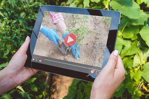 el video