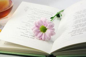 la poesía