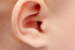ear