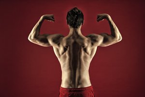 muscular