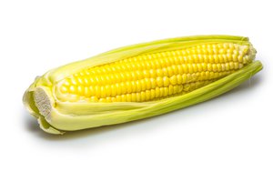 corn wasn't a popular food in Latin America