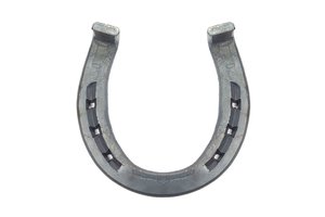 horseshoe