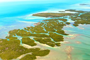 Cayos de Florida