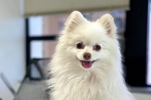 Casper