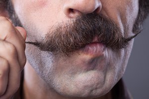 el bigote