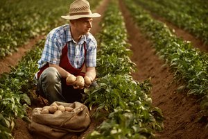 farmer