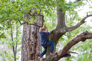 to climb trees
