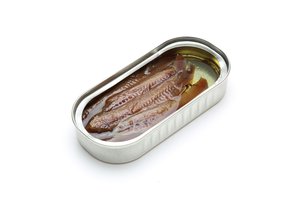 anchovy
