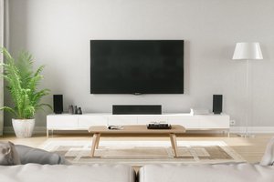 el televisor