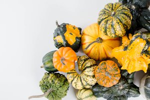 la calabaza