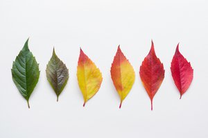 gradually