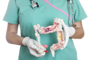 intestine