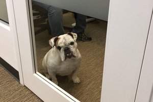 Potato's auntie