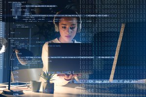 el software