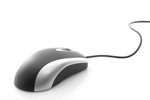 mouse