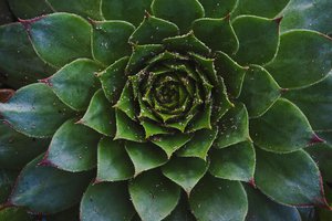symmetry