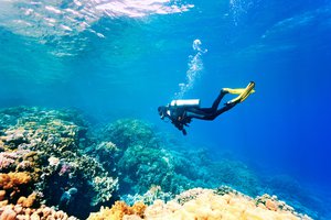 el buceo
