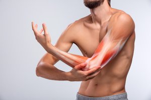muscular