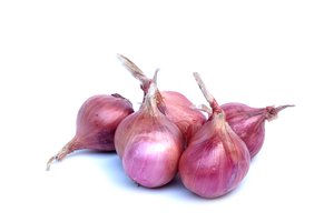 shallot