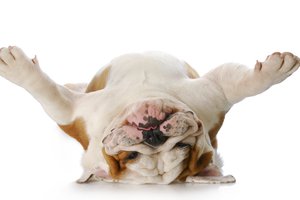 sacar la punta de la lengua sin darse cuenta