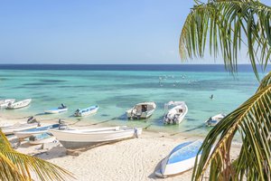paradise