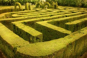 labyrinth