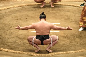 sumo