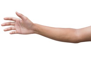 el brazo