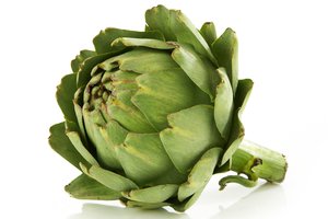 la alcachofa