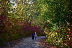 walk