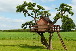 tree house