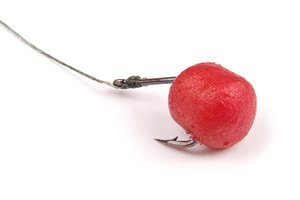 bait