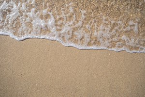 shore