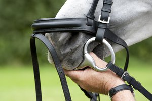 rein