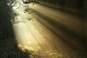 to shine
