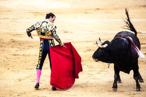 bullfight