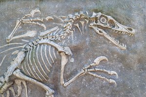 danger of extinction