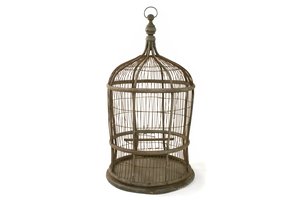 cage