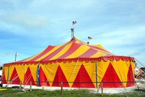 el circo