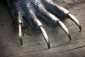 claw
