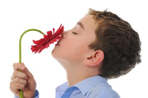 smell